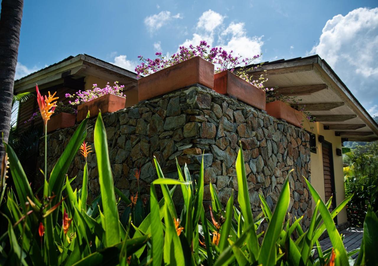 Hotel Gardenia Springs Buritaca Exteriér fotografie